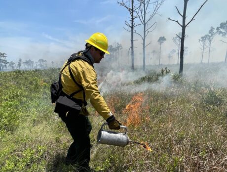 14-acre prescribed burn happening at North Sebastian Conservation Area