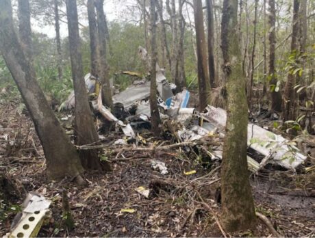 Pilot killed after plane that departed from Sebastian crashed in Flagler County