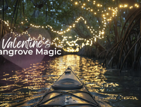 Coming Up! You’re gonna love ELC’s ‘Valentine’s Mangrove Magic’