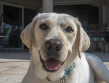 Bonz has lots to say about Gabby … and it’s all good!