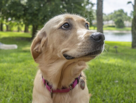 Sweet and sprightly Sadie? Hey, that’s some lady!