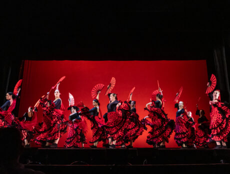 Stellar duos dance their hearts out for Healthy Start Coalition