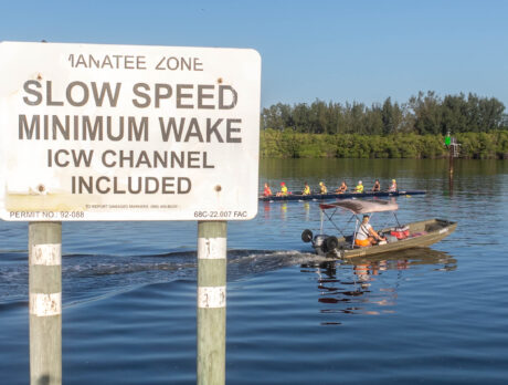 Boat speed limits may be raised in some Manatee Zones