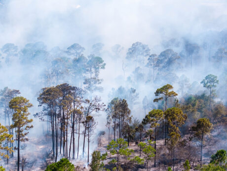 23-acre brush fire near Oslo Road fully contained
