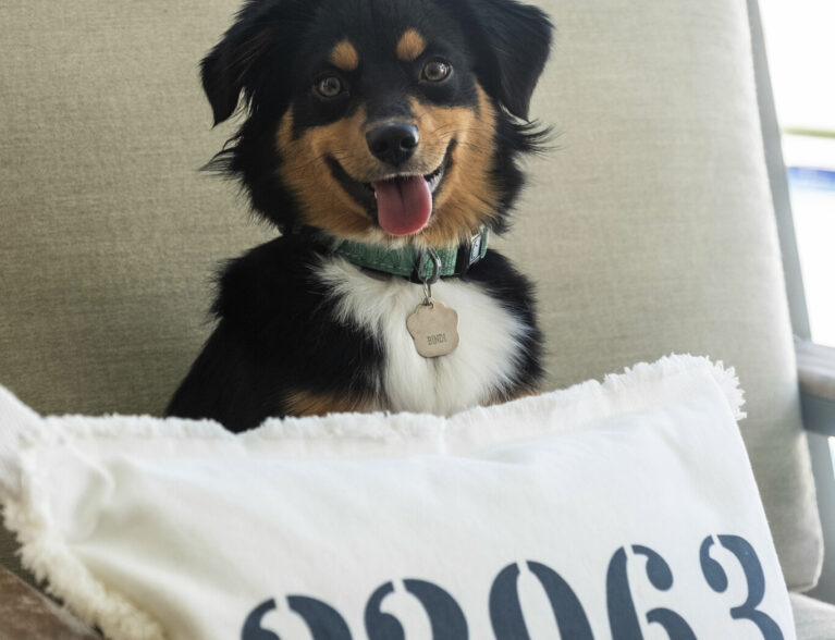 Amazin’ duck tale says it all about Bindi’s kindness