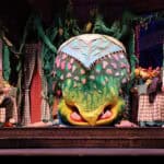 132a0475 54859108969 o