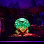 132a0583 54858836351 o