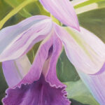 102125 MaryONeal JoshuaKodis 011