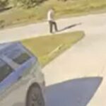 4f95d9d4 62de 4d9d 92fc 1d0401a28ab0