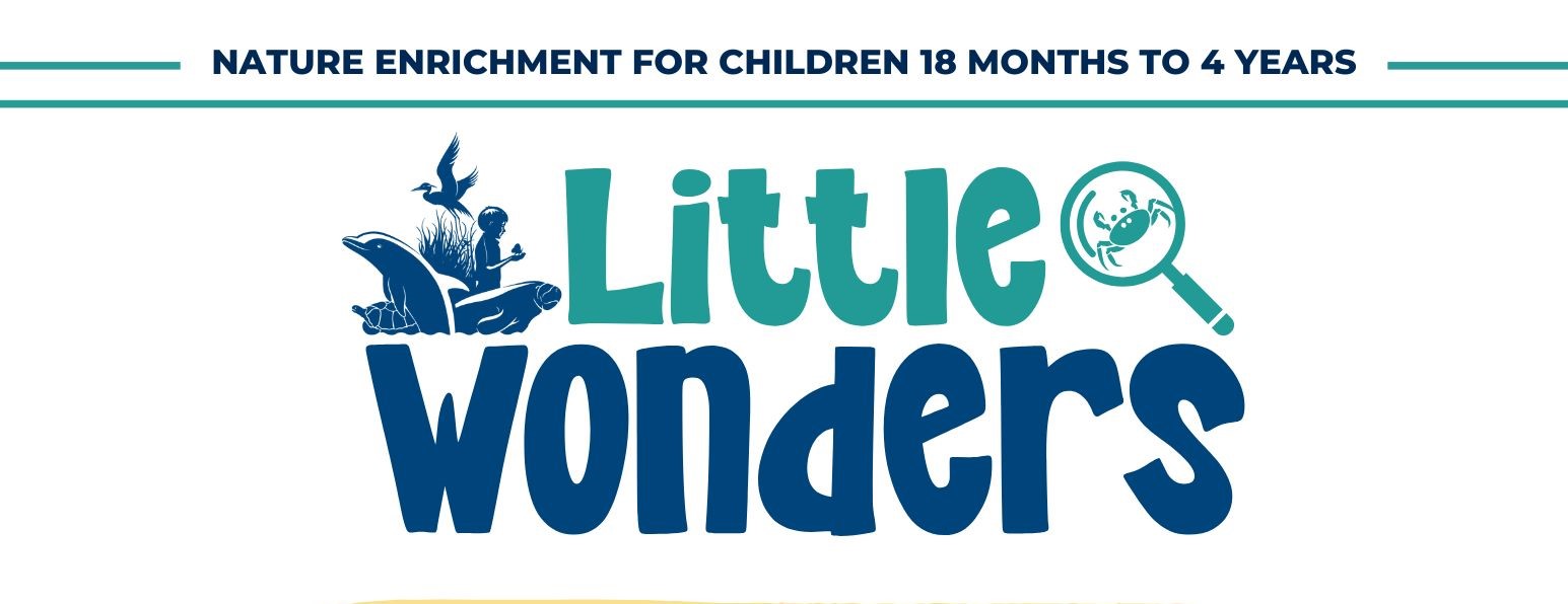 Little Wonders Fall V2