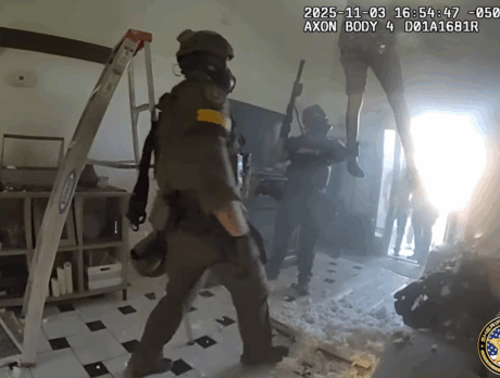 Video shows grand theft auto suspect falling through ceiling of home