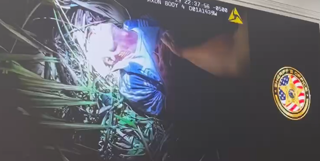 Screenshot 2025 11 20 191824