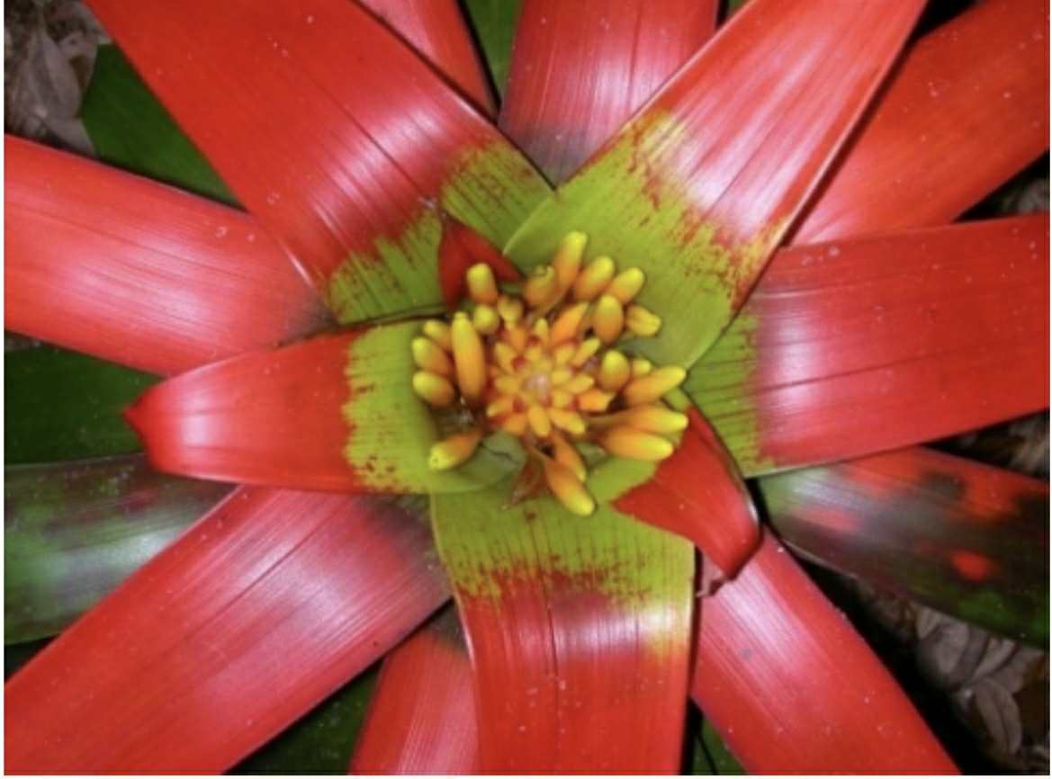 e107c9b3 238b 4ead a2bc 15c8335cff65