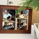 ab6b8c54 533c 4725 b211 4cfa2f3b694c