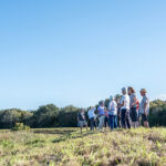 010726 ResidentComplaints DMMA JoshuaKodis 002