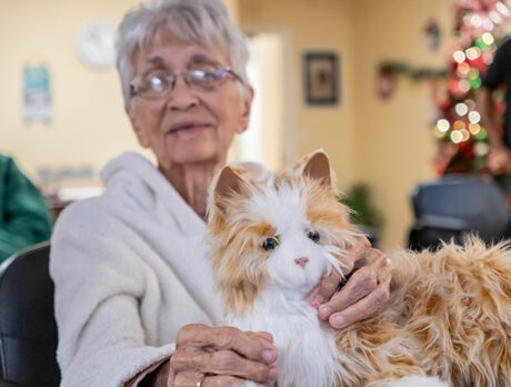 Feel-good story as nonprofit’s robotic pets help to soothe dementia patients’ anxiety