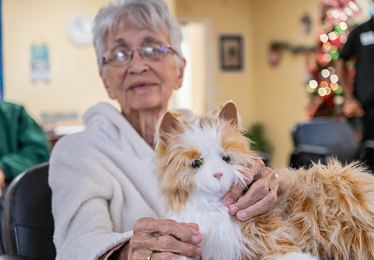 120125 RoboticPets JoshuaKodis 002