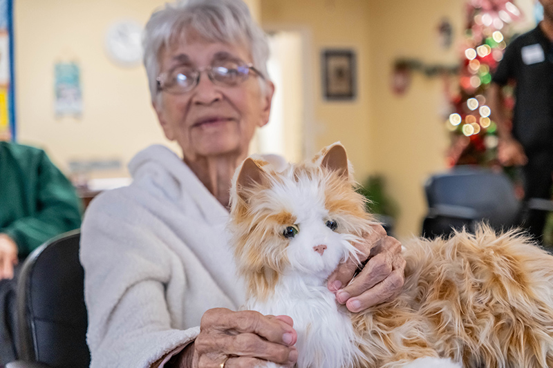 120125 RoboticPets JoshuaKodis 002