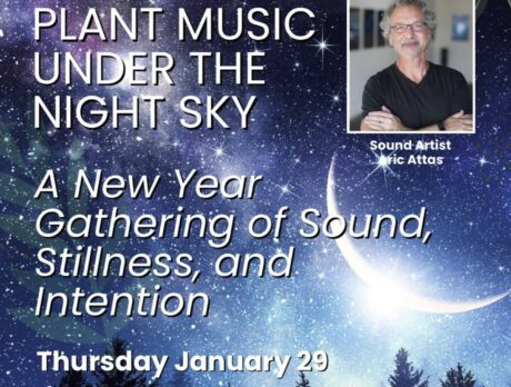 Groove and soothe to ‘Plant Music Under the Night Sky’