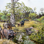 011026 MarieMorrow JoshuaKodis 011