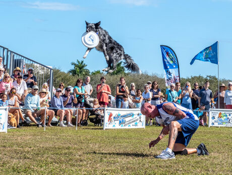 Humane Society’s Bark in the Park: Don’t worry, be yappy!