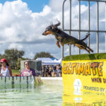 011326 BarkInPark JoshuaKodis 010