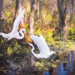 011426 MicheleLoftus JoshuaKodis 004