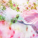 011426 MicheleLoftus JoshuaKodis 005