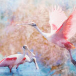 011426 MicheleLoftus JoshuaKodis 007