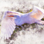 011426 MicheleLoftus JoshuaKodis 009