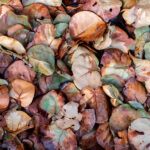 021626 Frozen JoshuaKodis 003