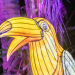 122925 McKee JungleLights JoshuaKodis 014