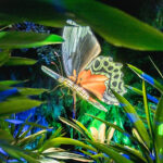 122925 McKee JungleLights JoshuaKodis 018