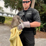 8350aae6 1107 4431 aa4b 330663ca9d2c