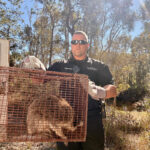 b953042d edb6 45ec 94e8 1cdfc2451199