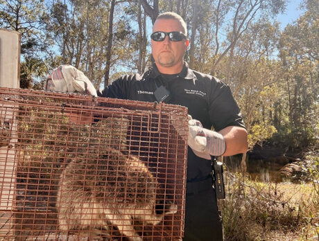 Minn. transplant catches on as Vero’s new animal control officer