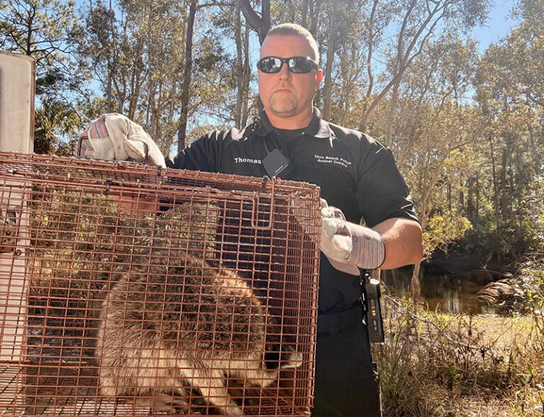 b953042d edb6 45ec 94e8 1cdfc2451199