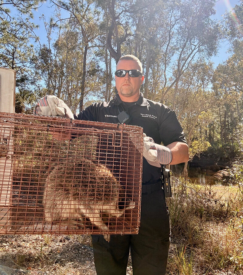 b953042d edb6 45ec 94e8 1cdfc2451199