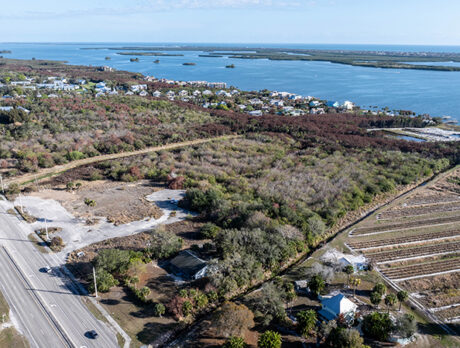 Hale Groves sale: New eco-legacy for famed citrus site