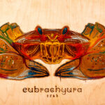 032126 AlmaArizpe JoshuaKodis 010