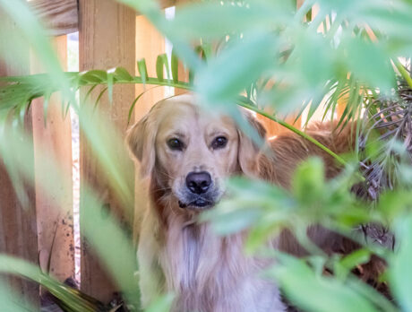 That little devil Tasman sure knows how to have fun!