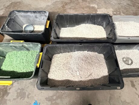 Drug sting nets kilos of fake pills, cocaine; 19 arrested while 1 being sought