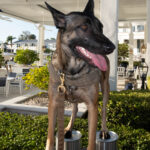 030226 NavySealEvening NorahKodis 016