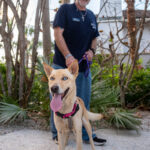 030426 CauseForPaws JoshuaKodis 014