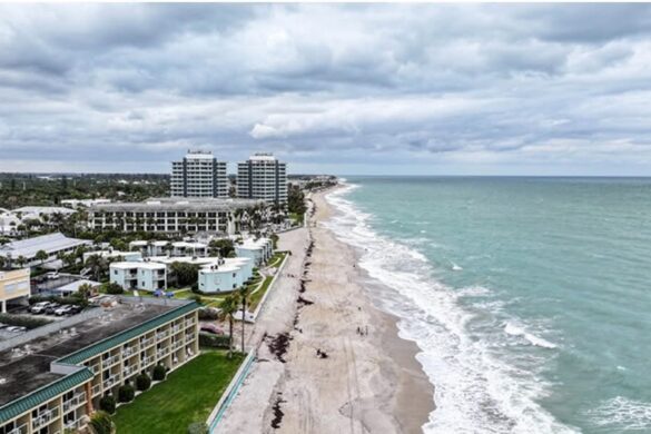 Alarming report: 86% of shoreline critically eroded
