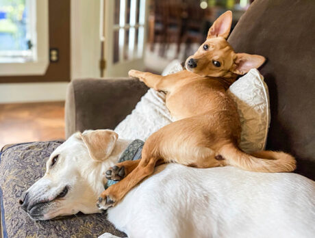 Bonz has a far-out time with Tinker Bell and Milky Way!