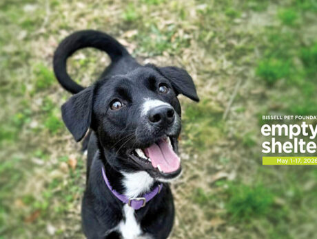 Coming Up! Humane Society’s Empty the Shelters: Don’t paws … adopt!