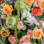 031626 VeroInBloom NorahKodis 012