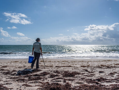 World Ocean Day: Volunteers remove trash from Golden Sands Beach