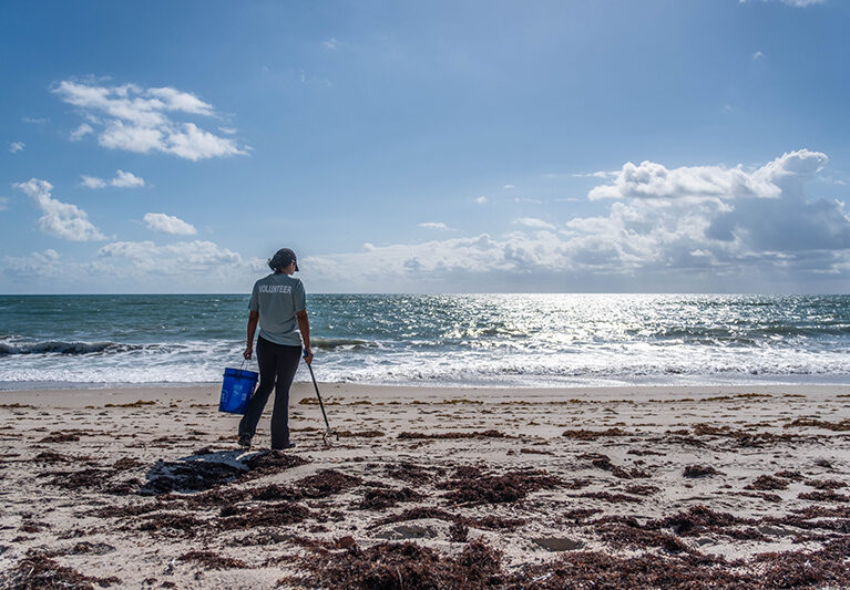 World Ocean Day: Volunteers remove trash from Golden Sands Beach